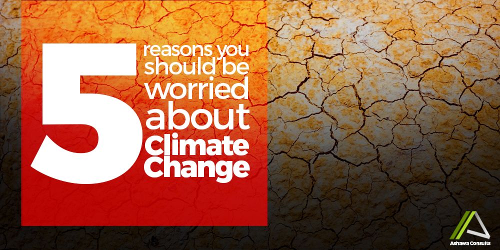 5 REASON YOU SHOULD BE WORRIED ABOUT CLIMATE CHANGE