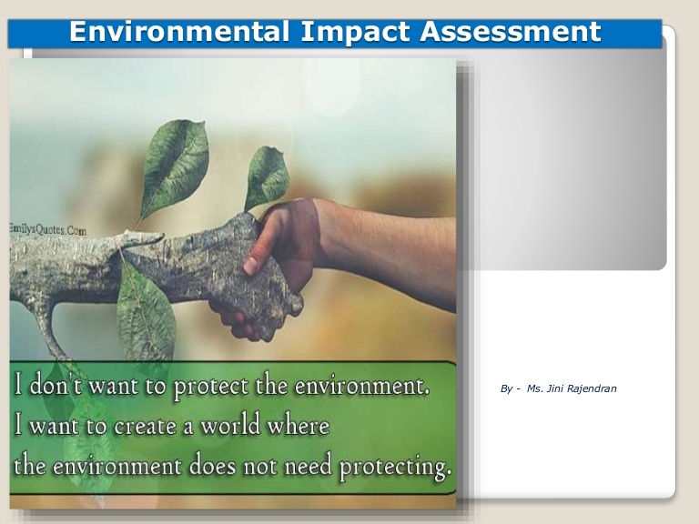 WHAT ARE THE MINIMUM CONTENTS OF ENVIRONMENTAL IMPACT ASSESSMENT?