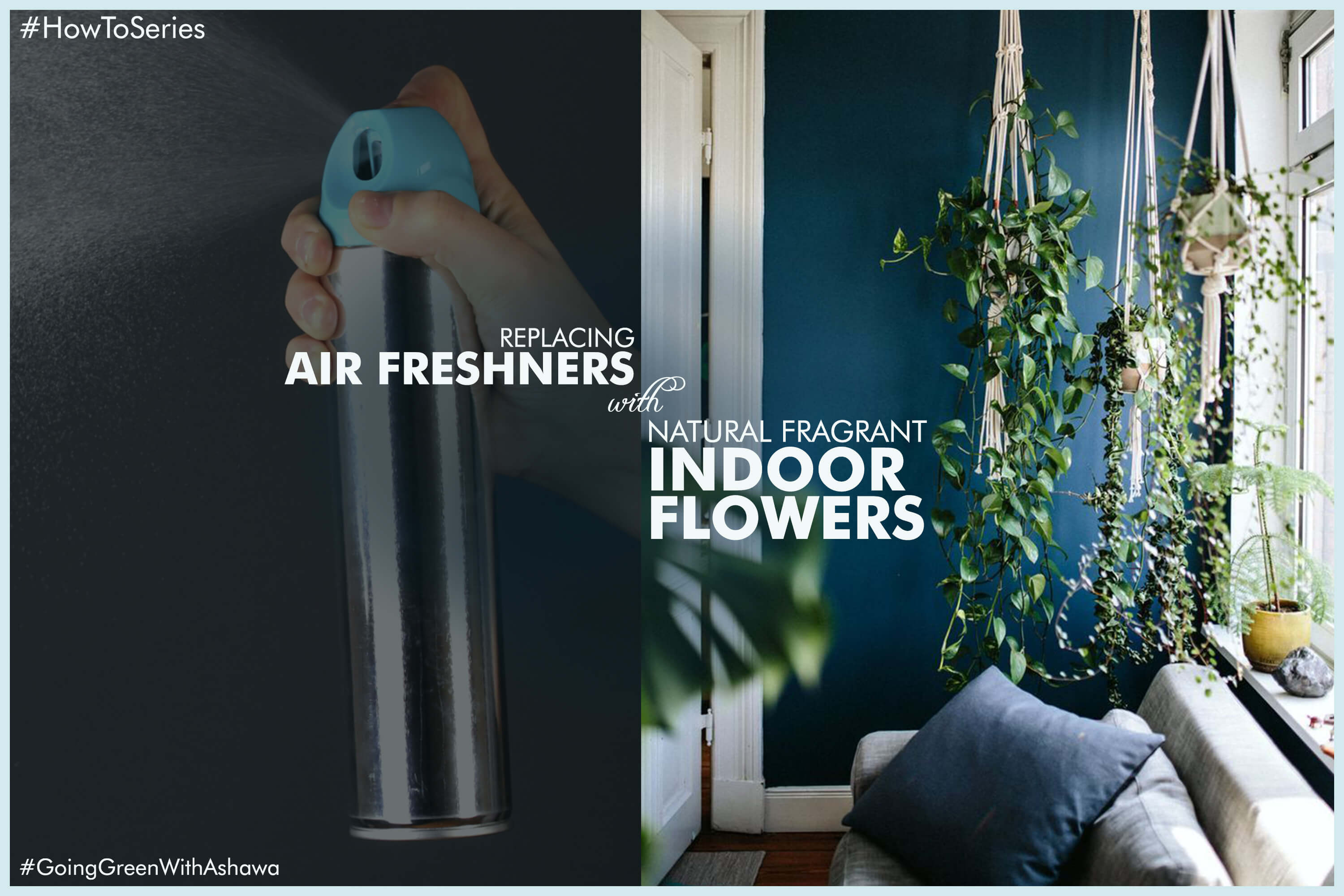 5 INDOOR PLANTS THAT CAN REPLACE ARTIFICIAL AIR-FRESHENER